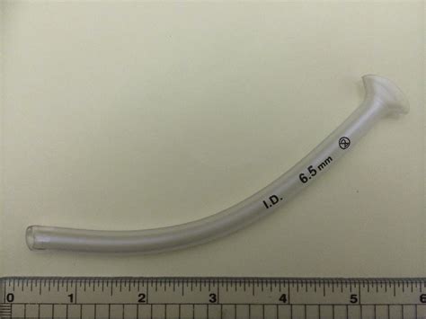 Nasopharyngeal Airway With An Internal Diameter Of 65 Mm Download