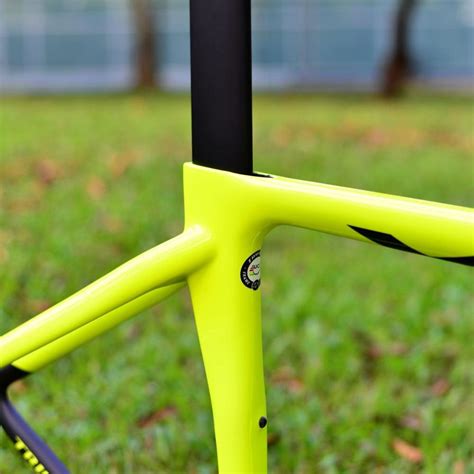 Trifox Mtb Frame Review Stonegerty