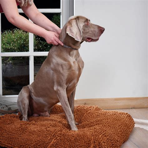 Beaphar Canicomfort® Calming Collar For Adult Dogs Beaphar