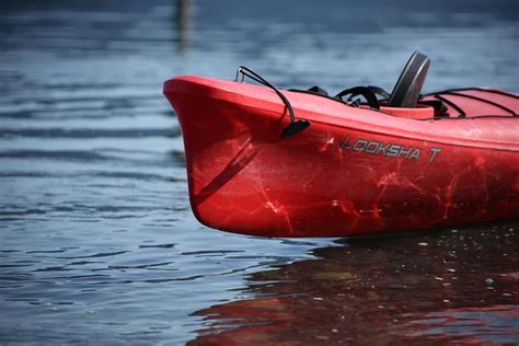 Mendenhall Glacier View Sea Kayaking