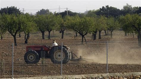 El Fogaiba Adelanta El Pago De Las Ayudas Europeas A La Agricultura