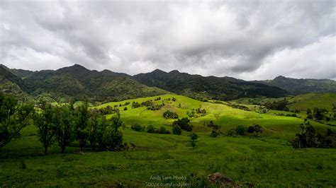 Rolling Hills In The North Island New Zealand Oc 4000x2250 R