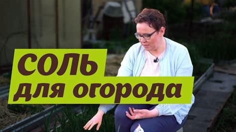 ЧУДО-СРЕДСТВО ОТ ЛУКОВОЙ МУХИ - YouTube