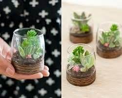 Горшки для цветов своими руками - оригинальные и креативные handmade идеи
