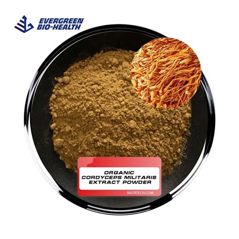 Plant Extract High Quality Organic Cordyceps Militaris Extract Powder