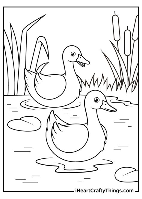 Duck Coloring Pages (Updated 2021)