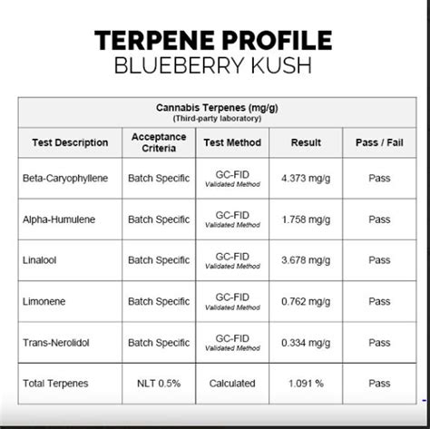 Blueberry Kush Budz Delight