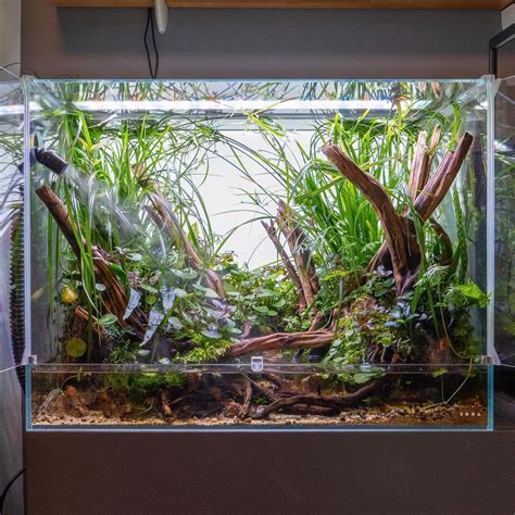 Liquid Nature Aquarium Shop On Instagram Das Dooa Neo Glass Paluda