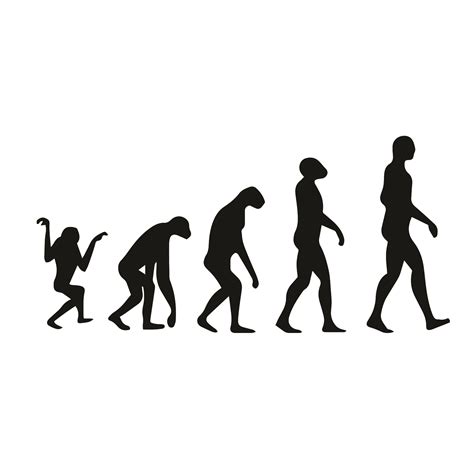 Atheist Vinyl Decals In Attractive Designs And Colors Evolvefish