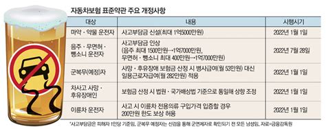 음주운전 사고시 자기부담금 1억7천만원으로 확대 이슈칼럼