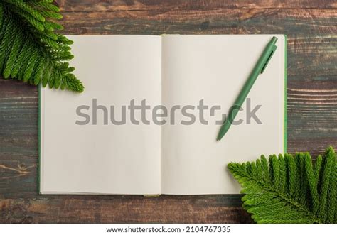 Top View Open Book Green Pen Stock Photo 2104767335 | Shutterstock