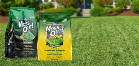 Amazing Moss Out For Lawns For Storables