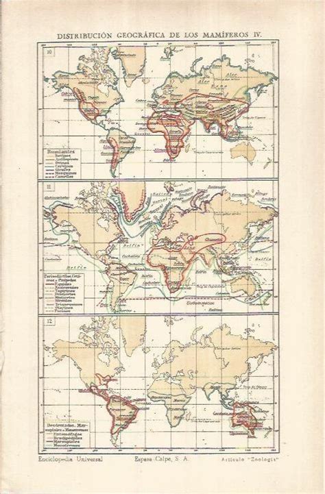 Lamina Espasa Mapamundi De La Distribucion De Rumiantes Von