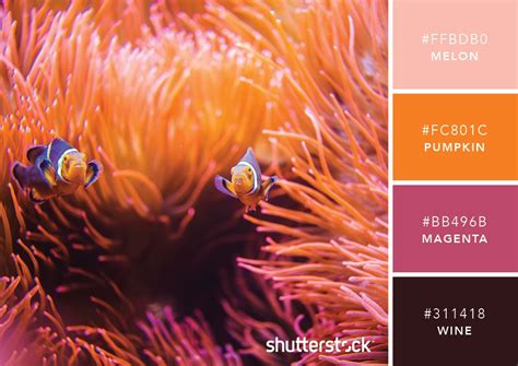 101 Color Combinations To Inspire Your Next Design Free Swatch