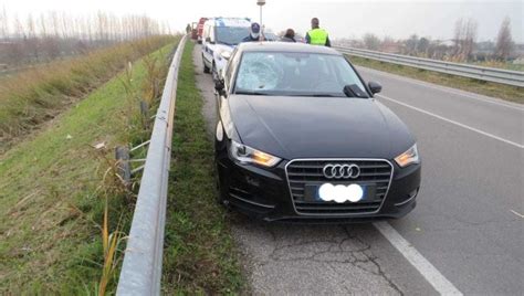 Travolto Da Un Auto E Ucciso A 24 Anni Nel Bolognese La Repubblica