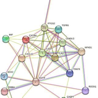 Target Genes Of Mir A P Associated To Pd Obtained Using Open Target