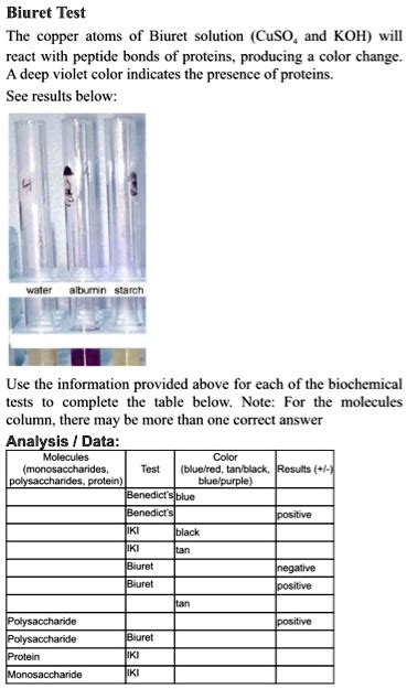 Solved Biuret Test The Copper Atoms Of Biuret Solution Cuso And Koh