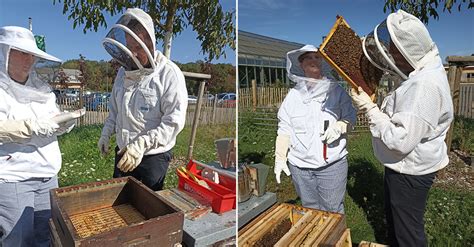 Artikel von Fabienne über Bienen APEMH Handicap intellectuel