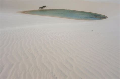 Premium Photo Lencois Maranhenses National Park Brazil Dunes And