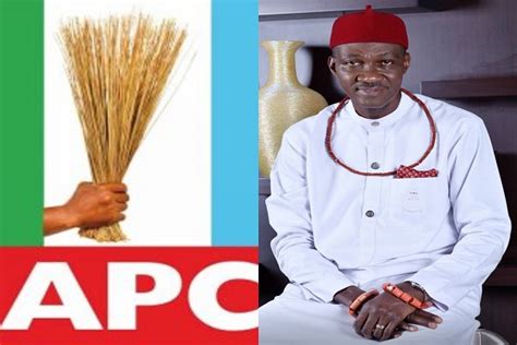 Apc Cancels Ojougbohs Expulsion The Nation Newspaper