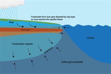 Understanding Saltwater Intrusion - pHionics