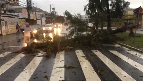 Ventos De 100 Kmh Causam Três Mortes E Estragos Em Santa Catarina