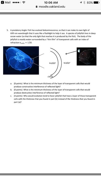 Solved A predatory Angler Fish has evolved bioluminescence, | Chegg.com