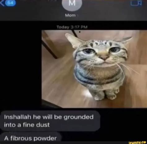 Inshallah He Will Be Grounded Into A Fine Dust A Fibrous Powder Ifunny