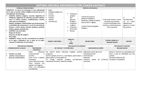 Historia Natural De La Enfermedad Cancer Gastrico Historia Natural