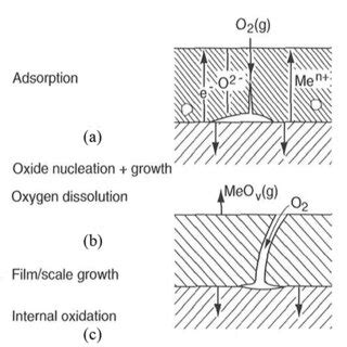 Sequence Of Oxide Scale Formation Of A Metal During High Temperature