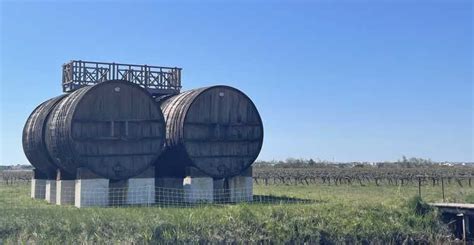 Montpellier Camargue Weinkeller Tour Mit Verkostungen Und Picknick