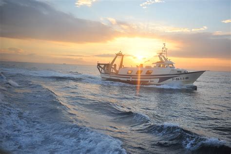 La pesca marina en el mar Mediterráneo Ecología Política