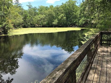 Disappearing River Takes A Dive At Woodsy Oleno State Park