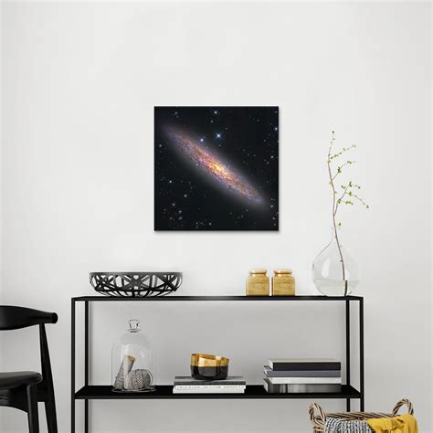 The Sculptor Galaxy (NGC 253) II (18"W x 18"H x 0.75"D) - Robert ...