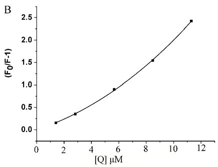 A The Stern Volmer Plot For The Fluorescence Quenching Of Hsa By Nc