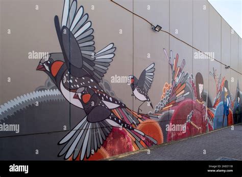 Birds Street Art Brunswick Melbourne Victoria Australia Stock Photo