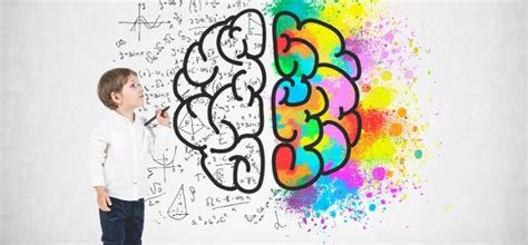 Especialista En Inteligencia Emocional Y Neurociencia Aplicada A La Educación Ccc