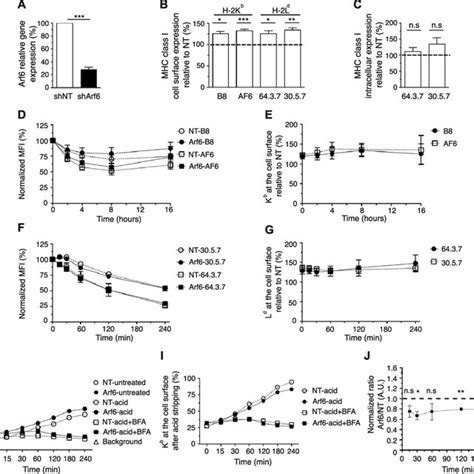 Effect Of Arf6 Knockdown On Cell Surface MHC Class I Expression BM DCs