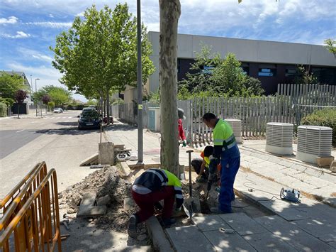 Comienzan los trabajos de reparación de aceras en más de 80 calles de