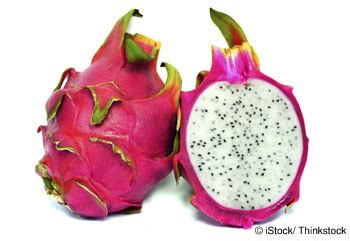 Moss Tunnel By TheKite Hentai Foundry