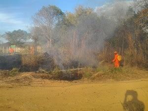 G Brigadistas Combatem Fogo Em Rea Rural De Palmas Not Cias Em