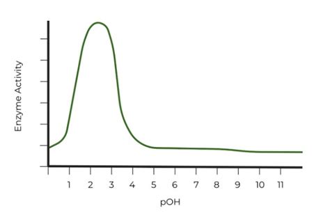 Enzyme Inhibition Other Forms On The Mcat Medlife Mastery