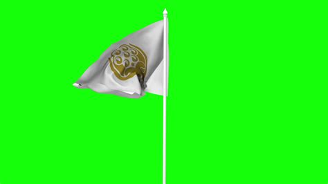 South Asian Association For Regional Cooperation Saarc Flag Waving In