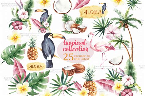 Watercolor Tropical Clipart Summer By Springartshop Thehungryjpeg