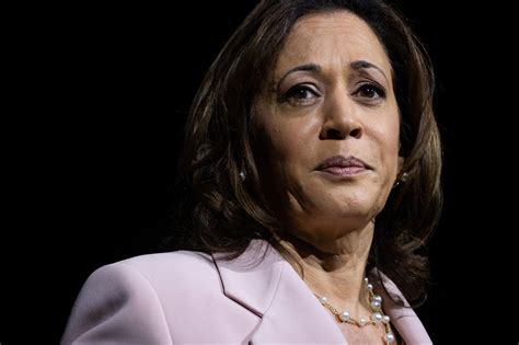 Sorra állnak be a Demokrata Párt fontos figurái Kamala Harris mögé