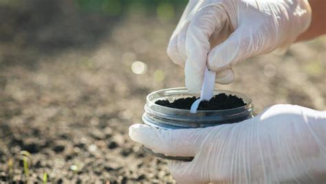 How Much Does A Soil Testing Cost In 2025 Forbes Home