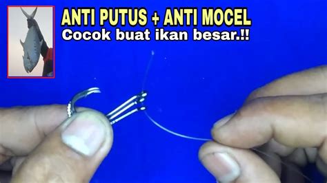 Target Ikan Besar Cara Mudah Mengikat Kail Pancing Untuk Rangkaian