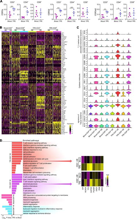 Frontiers T Cell Receptor Repertoire Analysis Reveals Signatures Of T