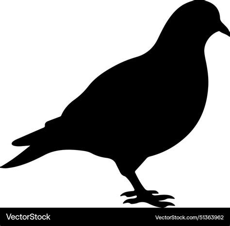 Pigeon Silhouette White Background Royalty Free Vector Image