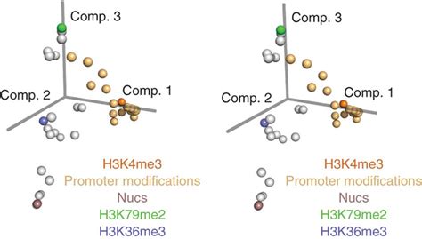 Groups of histone marks revealed by PCA.PCA of all ChIP-seq and ...